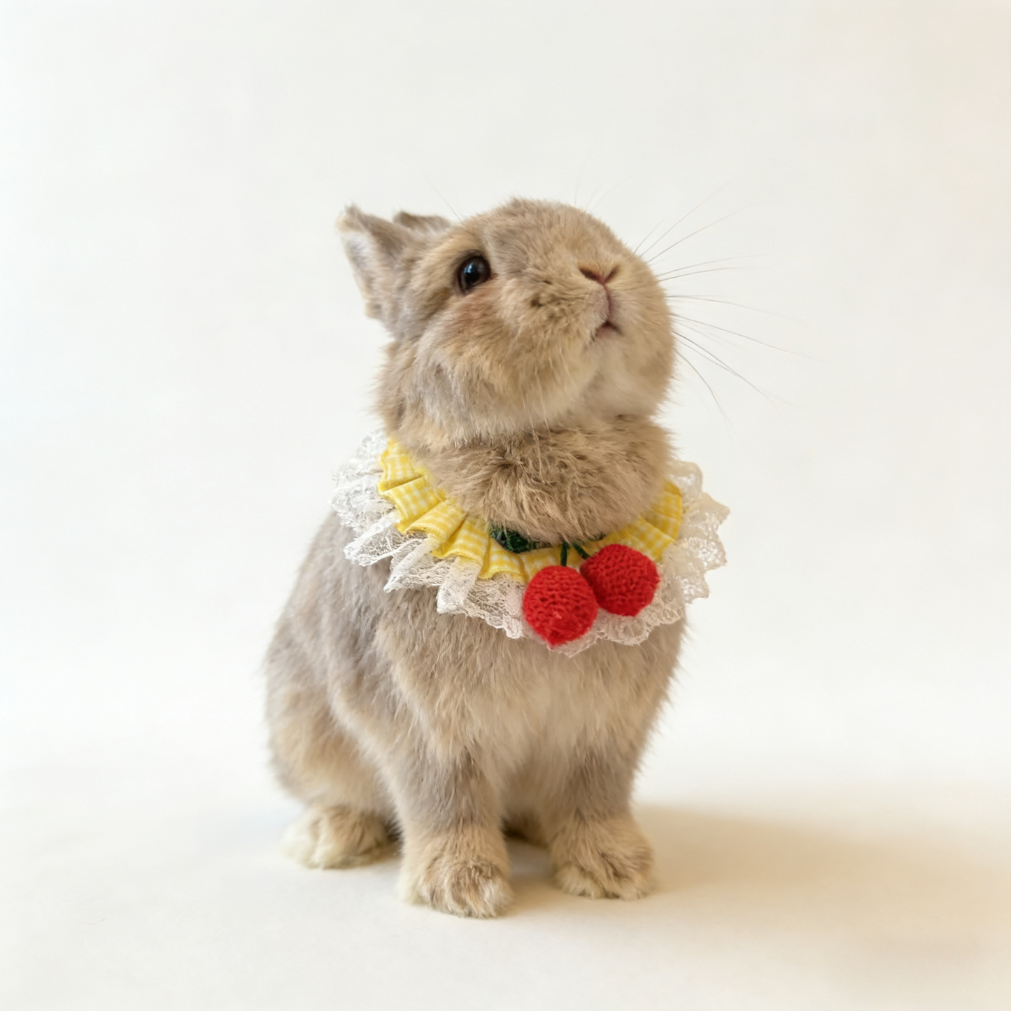 Yellow Plaid Bunny Bandana with Crochet Flower – Adjustable Lace Pet Rabbit Collar – Cherry Picnic Aesthetic