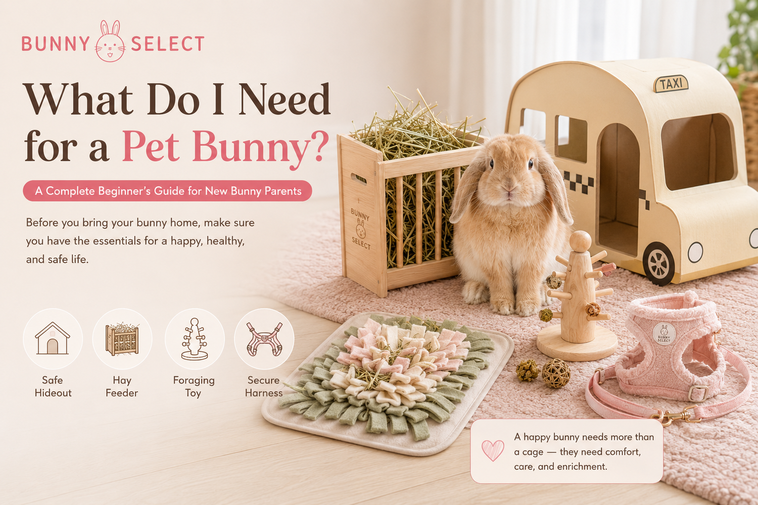 What Do I Need for a Pet Bunny? A First-Time Rabbit Owner Checklist