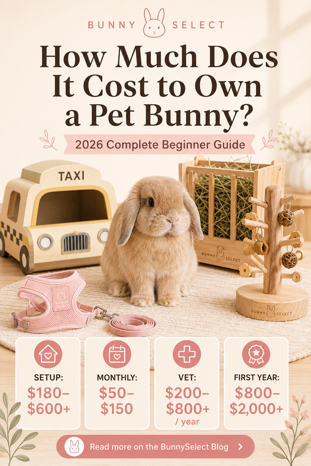 How Much Does It Cost to Own a Pet Bunny? (2026 Complete Beginner Guide)