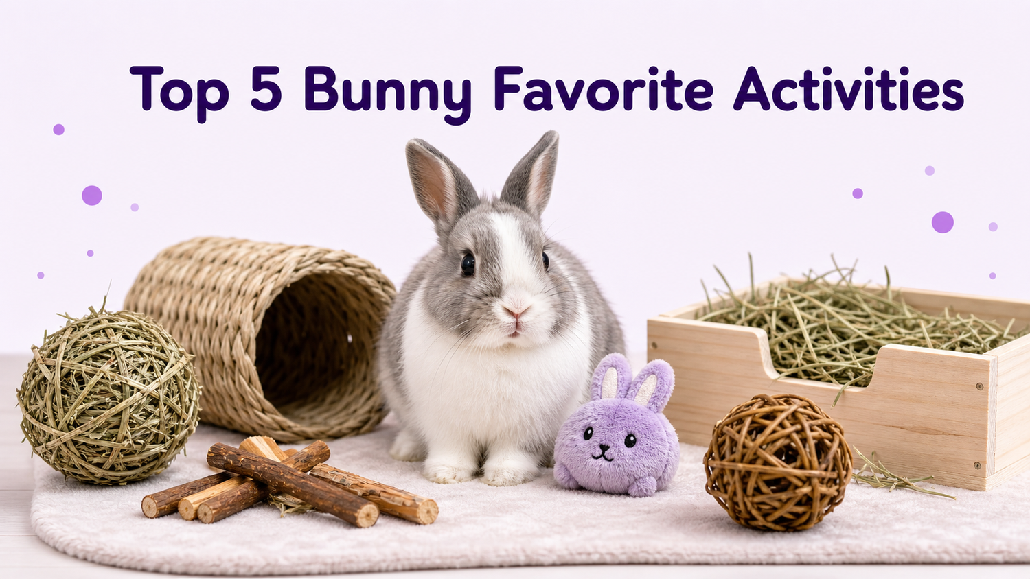 Illustrated rabbit with bunny toys for a BunnySelect blog about pet rabbit favorite activities