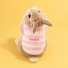 Rabbit wearing a pink and white striped fleece bunny vest on a warm yellow background.