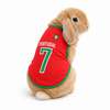 World Cup Rabbit Jersey Outfit for Small Pets