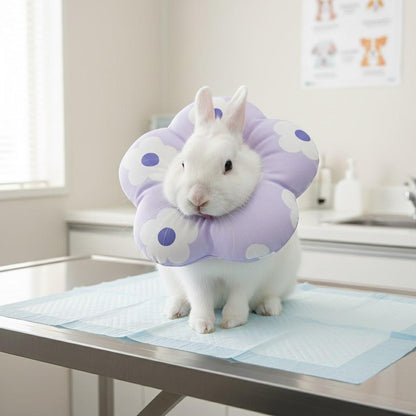 Soft Flower Rabbit Recovery Collar – Adjustable Water-Resistant Elizabeth Cone for Bunnies – Cute Purple Pet E-Collar for Post-Surgery Healing