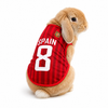 World Cup Rabbit Jersey Outfit for Small Pets