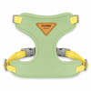 Adjustable Bunny Harness and Leash Set for Walking - BunnySelect