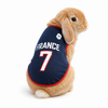 World Cup Rabbit Jersey Outfit for Small Pets