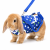Blue rabbit harness backpack carrier with polka dot fabric, small bunny wearing travel sling, white background studio shot