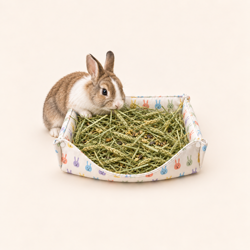 Foldable Rabbit Hay Box & Feeding Mat - BunnySelect
