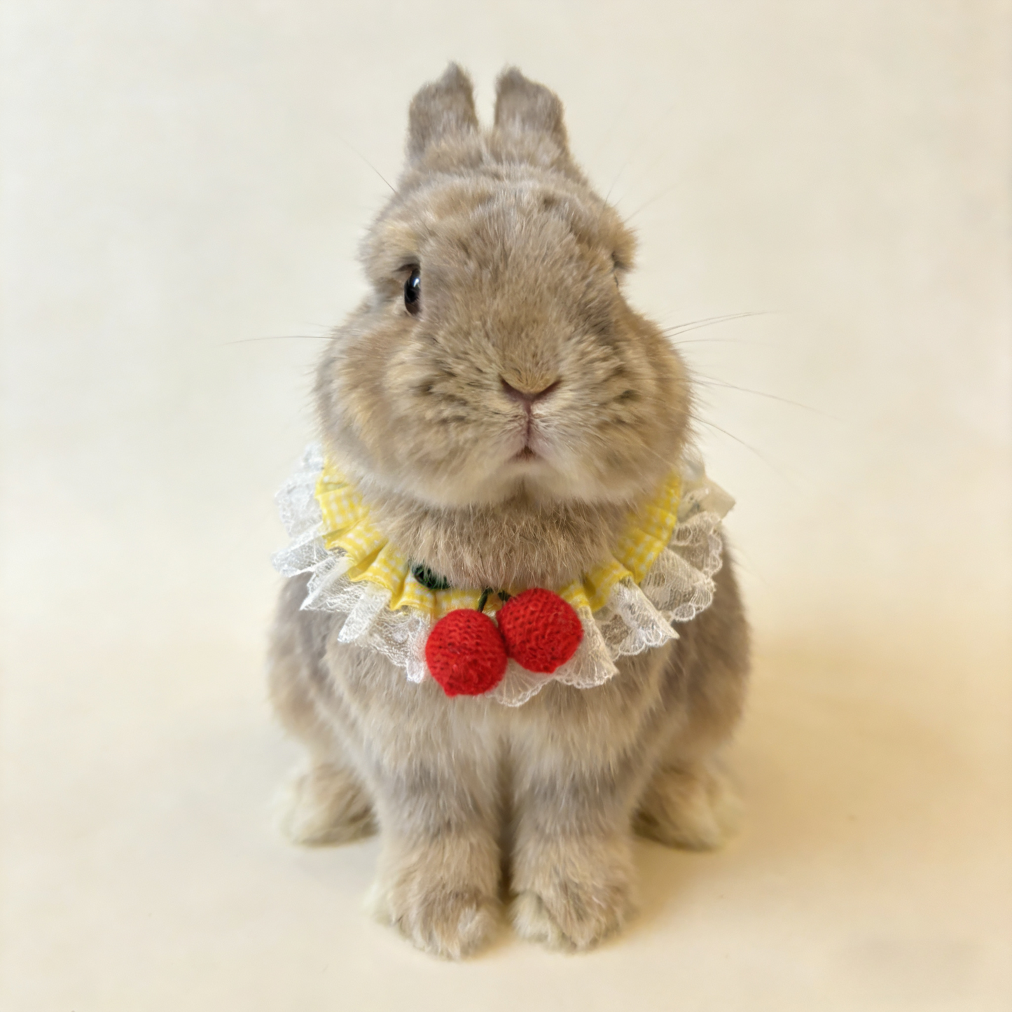 Yellow Plaid Bunny Bandana with Crochet Flower – Adjustable Lace Pet Rabbit Collar – Cherry Picnic Aesthetic