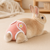Washable Rabbit Diaper Pants, Reusable Small Pet Shorts, Breathable Bunny Outfit