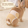 3-Pcs+ Cotton Mesh Rabbit Diaper Pants for Potty Care, Blue/Yellow - BunnySelect