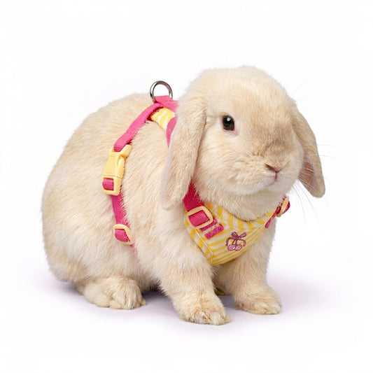 Escape-Proof Rabbit Harness - Adjustable Soft Mesh Bunny Vest for Small Animals - Pink Cherry