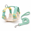 Bunny Harness & Leash Set