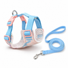Bunny Harness & Leash Set