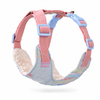 Bunny Harness & Leash Set