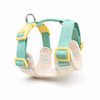Bunny Harness & Leash Set